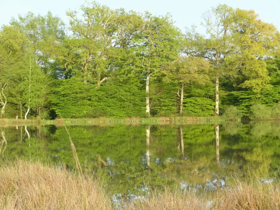 Hameau des Damayots 20