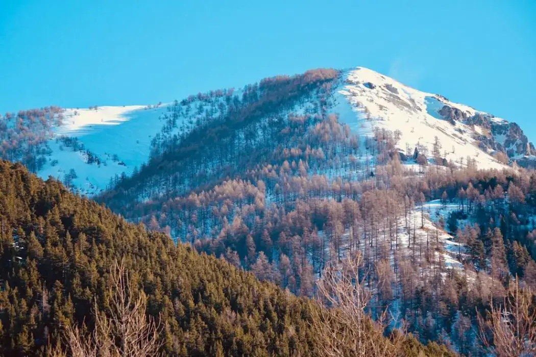 Le Chamois d'Or 2