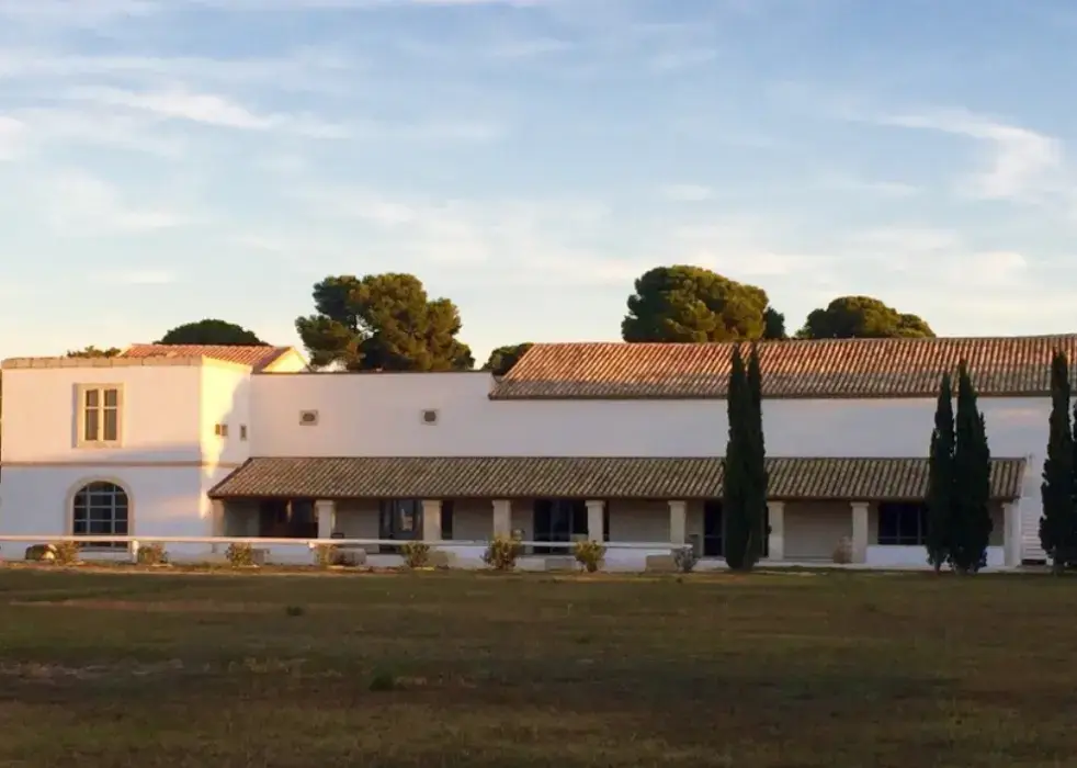 Domaine Le Sauvage 2