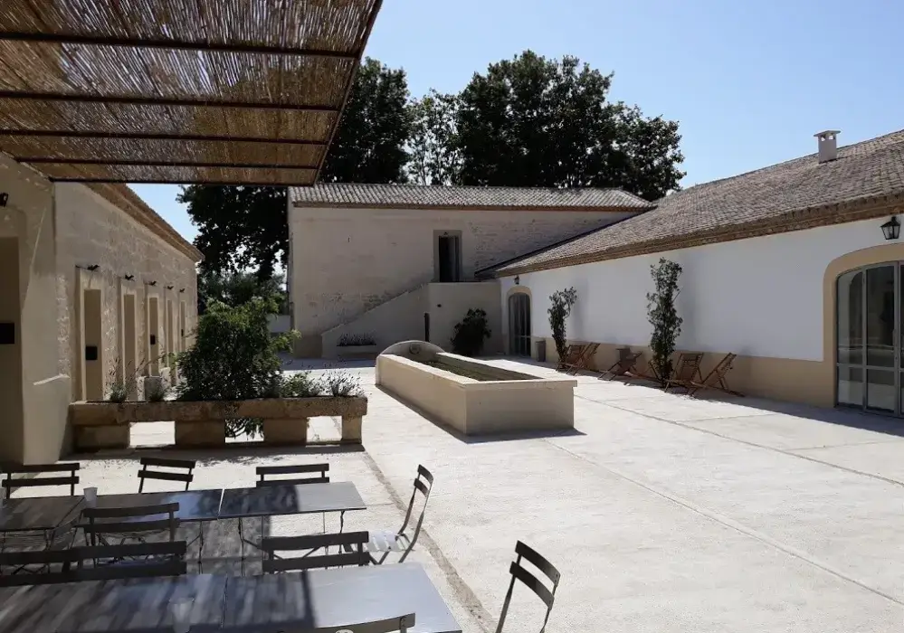 Domaine Le Sauvage 4