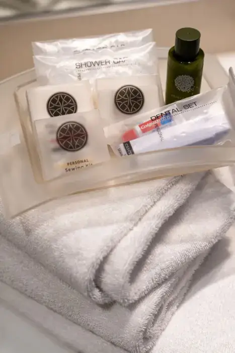 Holiday Inn Lyon Vaise 31