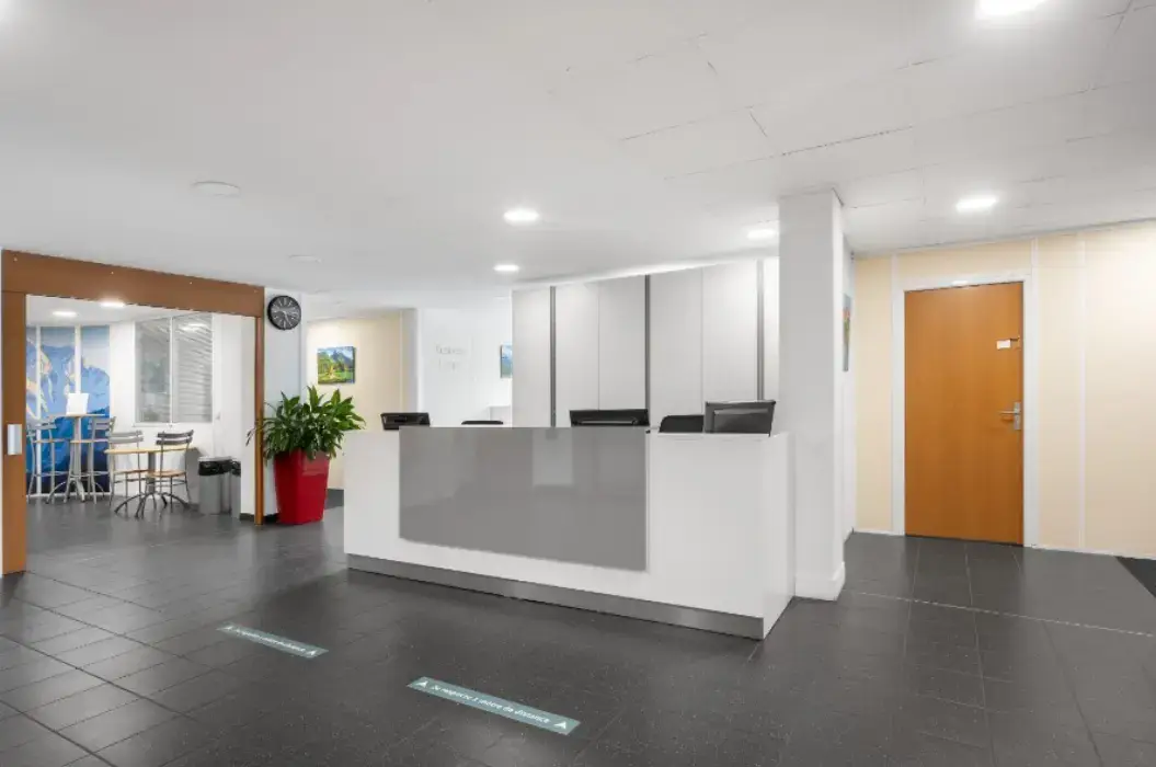 Regus 29 Boulevard des Alpes 2