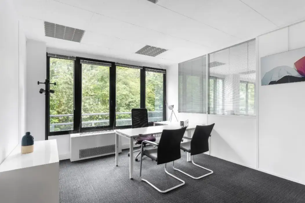 Regus 29 Boulevard des Alpes 3
