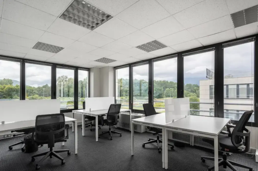 Regus 29 Boulevard des Alpes 5
