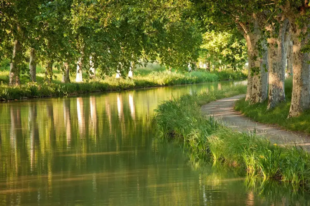 Le Mas des Canelles 3