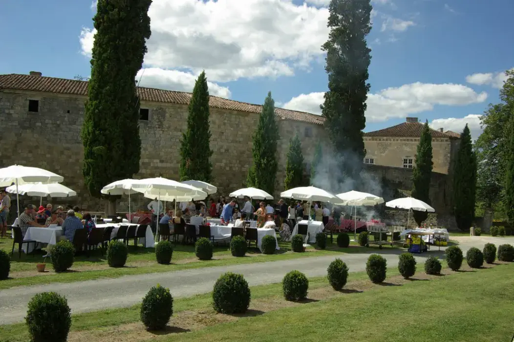 Château de Poudenas 8