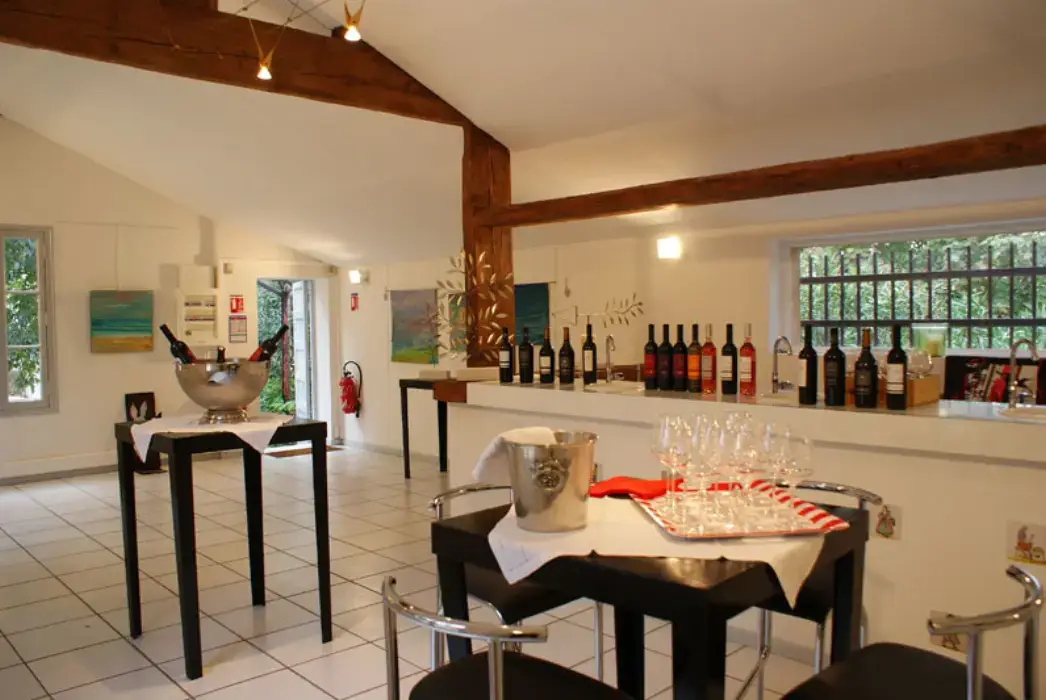 Château de la Tuilerie 5