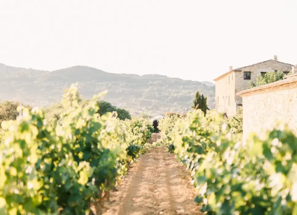 Domaine du Gros Noré 5