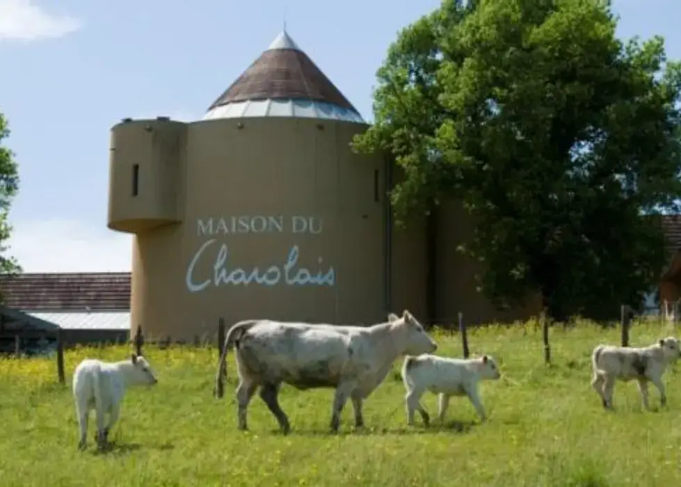 Maison du Charolais 2