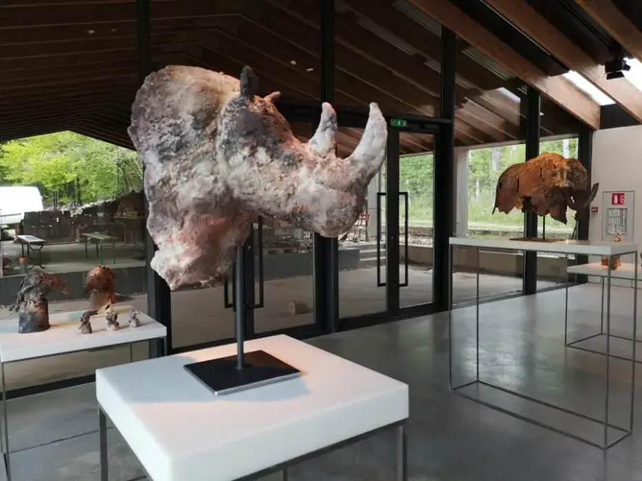 Centre Céramique contemporaine La Borne 4
