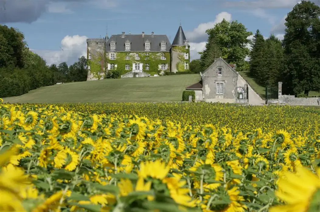 Hôtel  Spa Château de La Côte 15