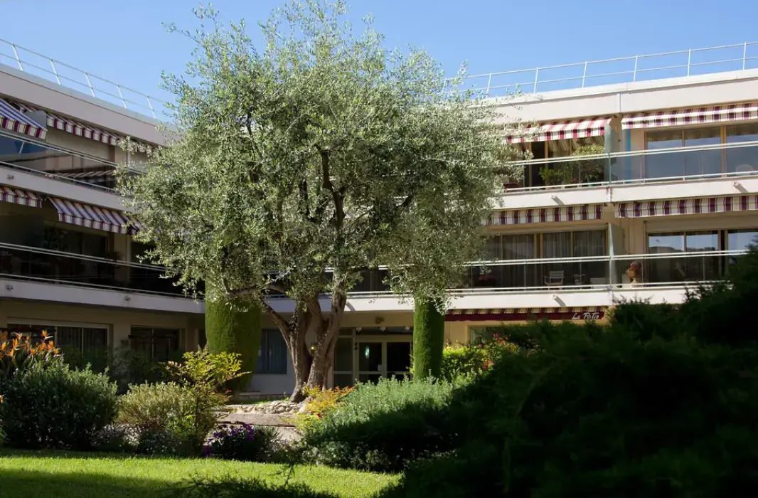 Hotel  et Résidence Les Strelitzias 4