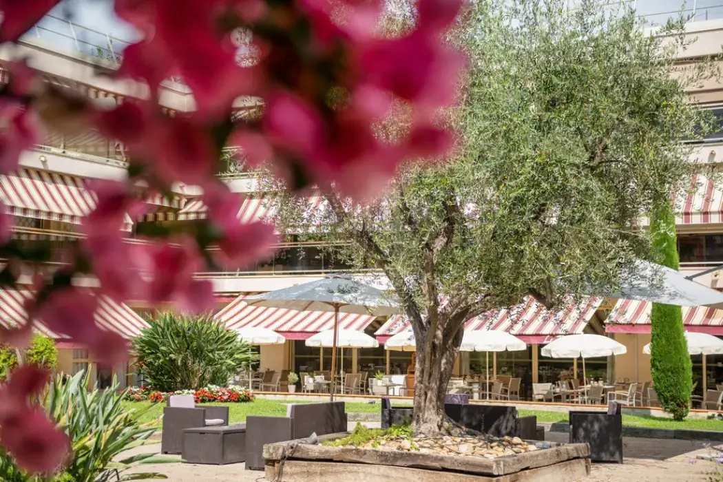Hotel  et Résidence Les Strelitzias 27