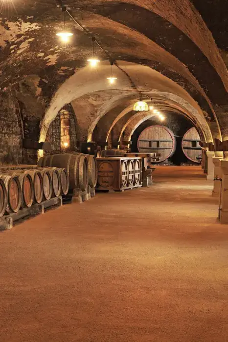 Domaine de la Croix Rochefort 12