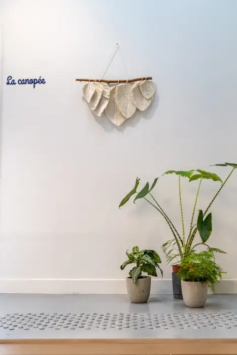 Canopy 17