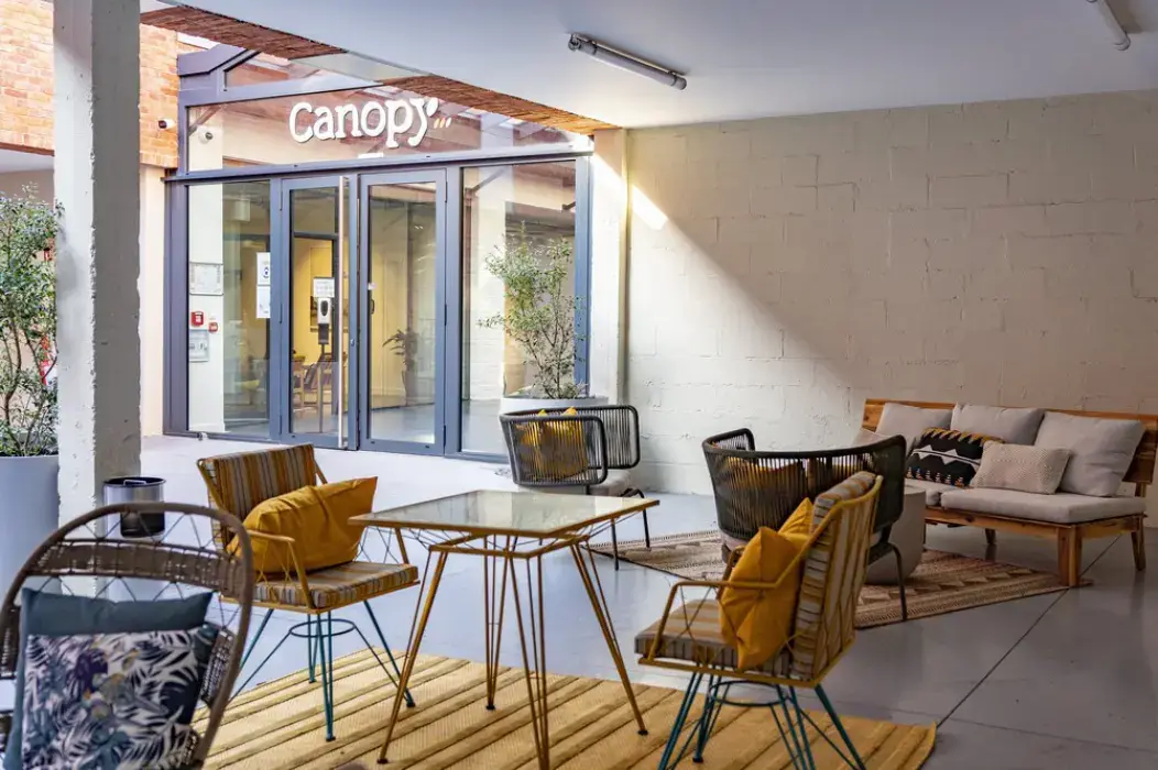 Canopy 19