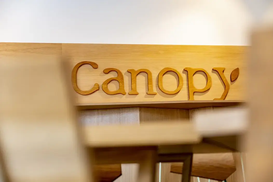 Canopy 20