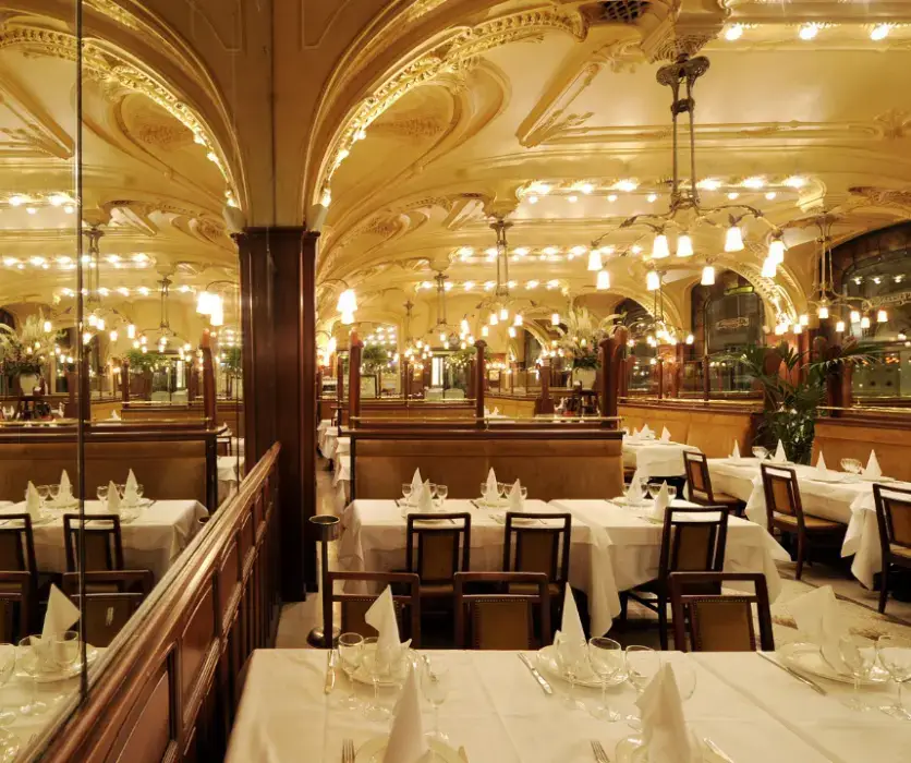 Brasserie l'Excelsior 5
