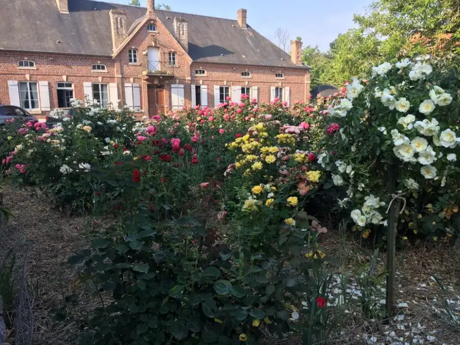 Domaine des Célestins 7