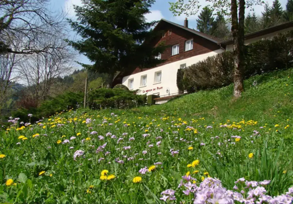 Auberge Le Moulin du Plain 11