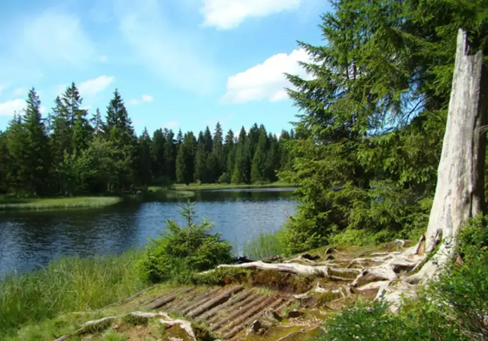 Auberge Le Moulin du Plain 12