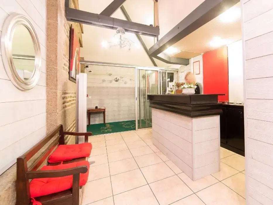 Brit Hotel Le Cygne 7