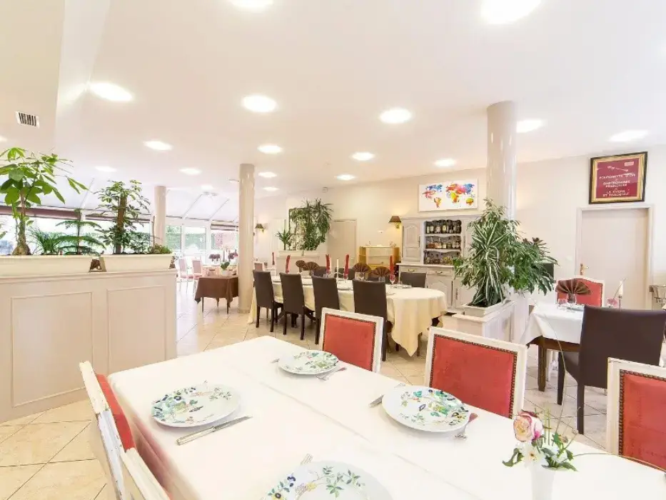 Brit Hotel Le Cygne 8
