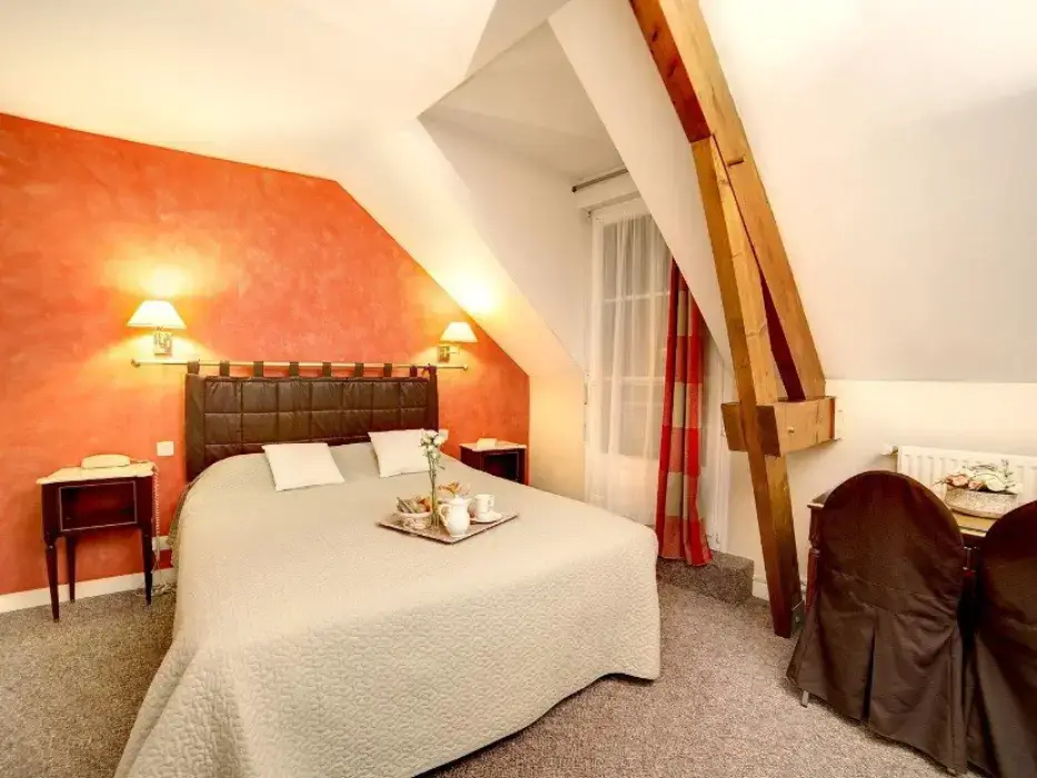 Brit Hotel Le Cygne 9