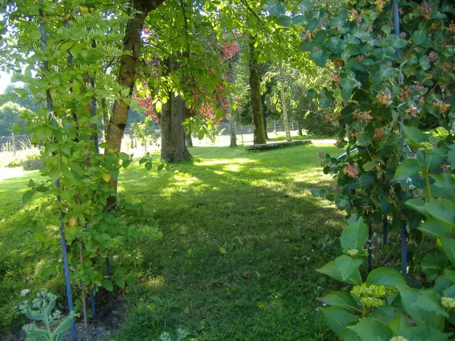 Les Chauvières 6