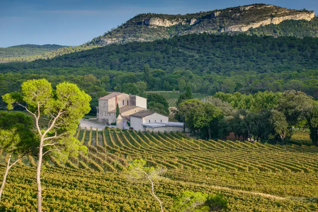 Château La Roque 8