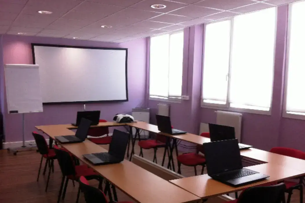 IBS Consulting 3