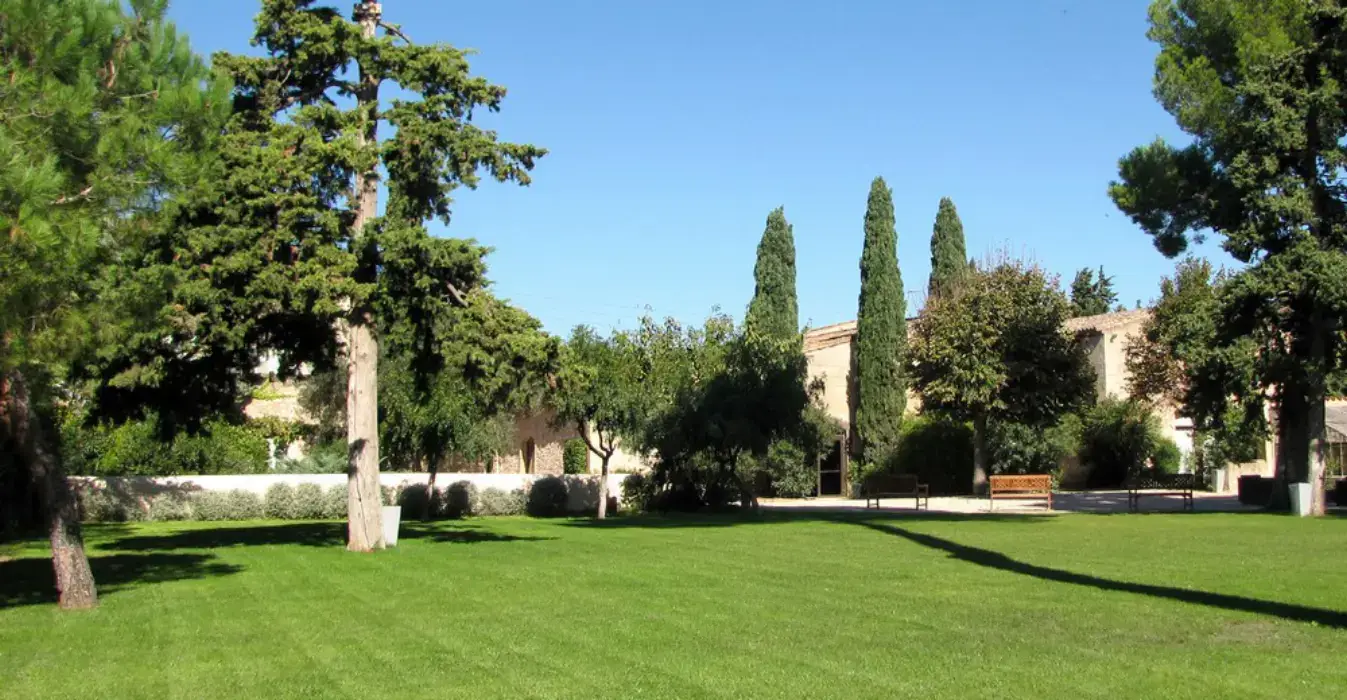 Domaine Fon de Rey 3