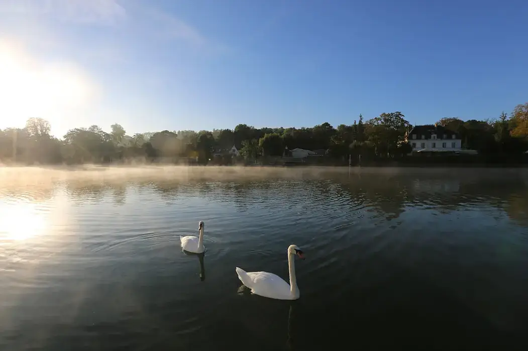 Manoir des Cygnes 9