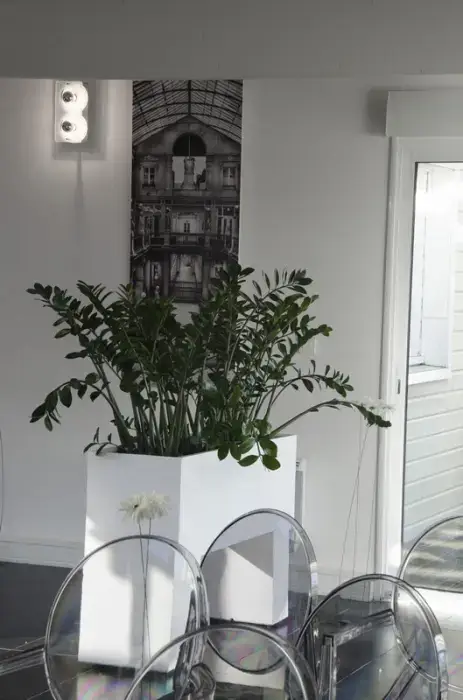 Le Loire Patio 8