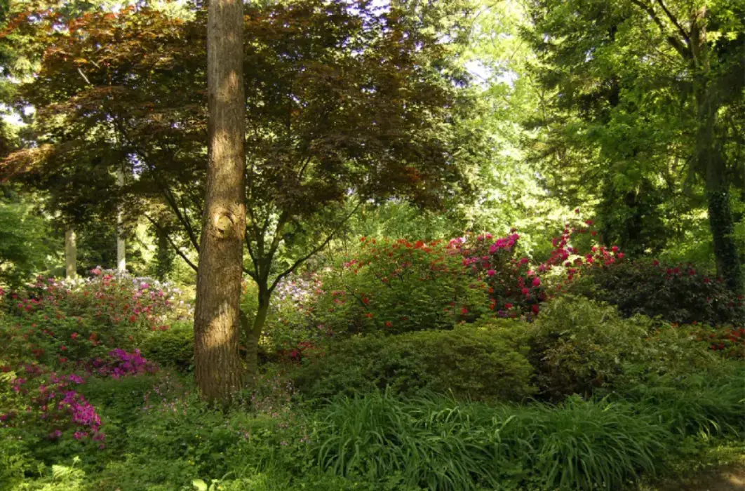 Parc de la Teyssonnière 3