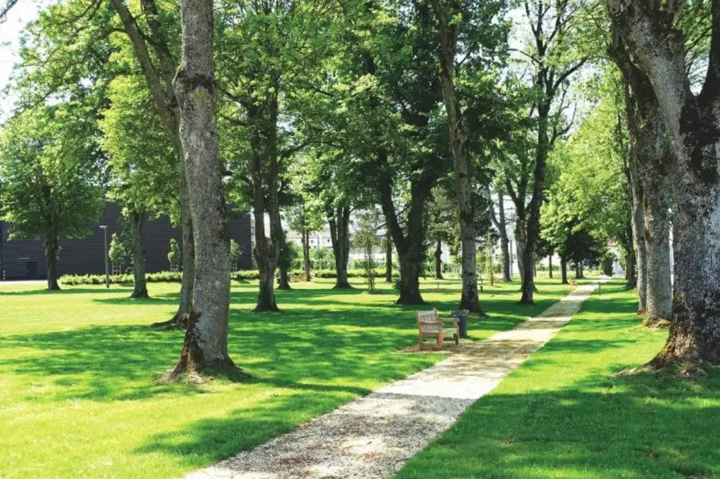 Campus Cockerill 2