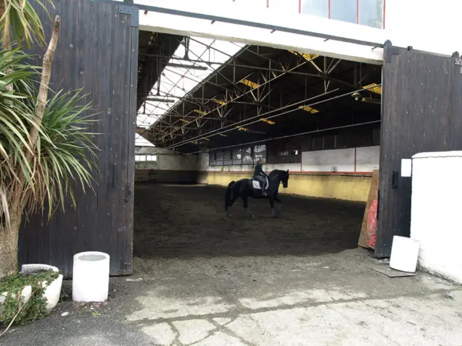 Club Hippique de Vigoulet Auzil 5
