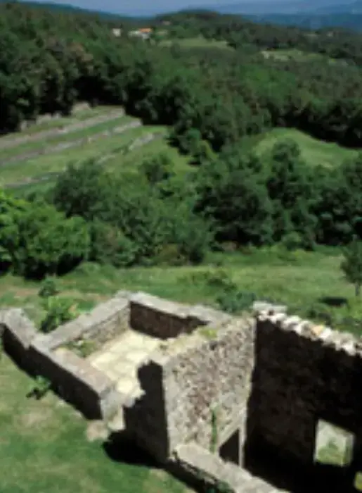 Château de Liviers 7