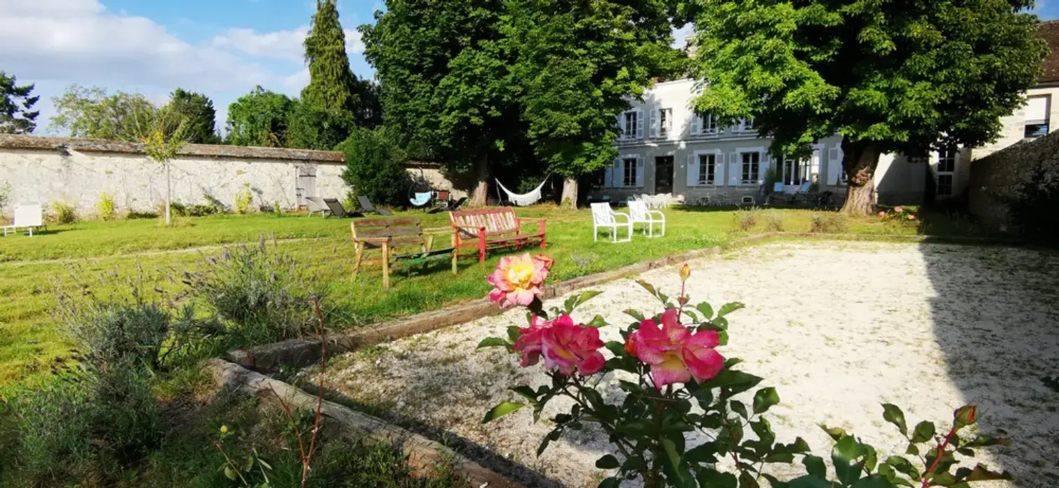 Colibri des champs 4