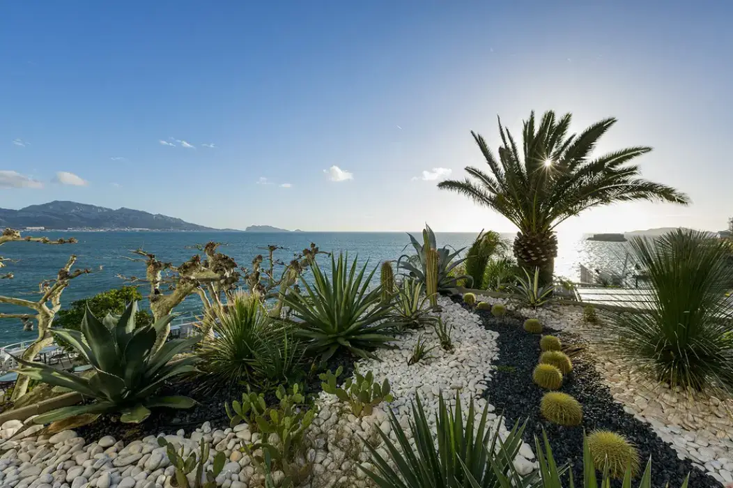 Petit Nice Passedat 6