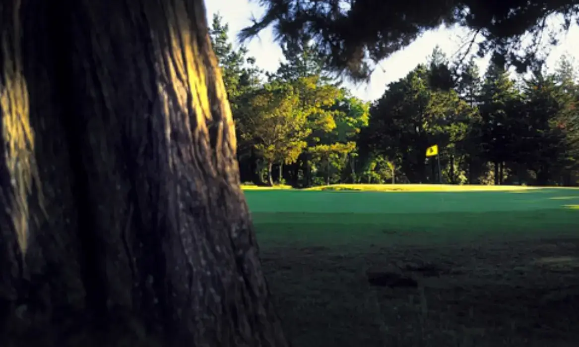 Golf de Pornic 2