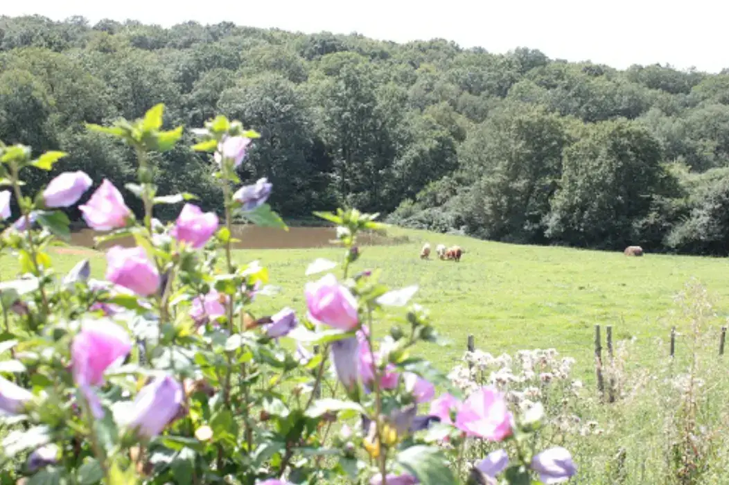 Gîtes de la Charnie - Ferme du Ruchot 16