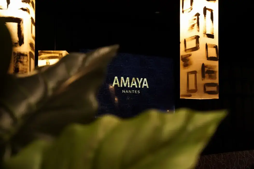 Amaya 2