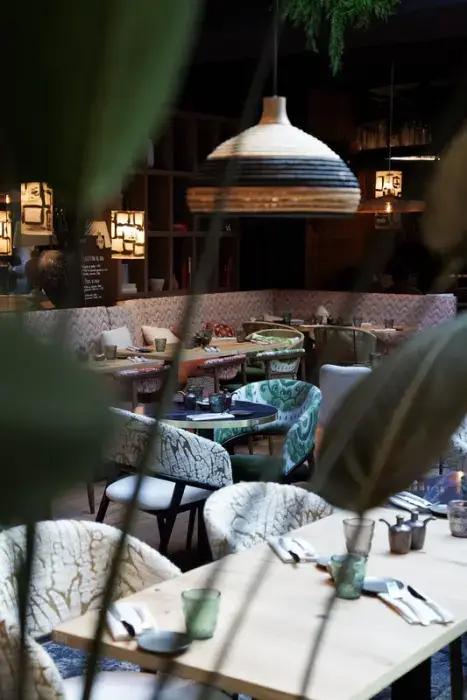 Amaya 6