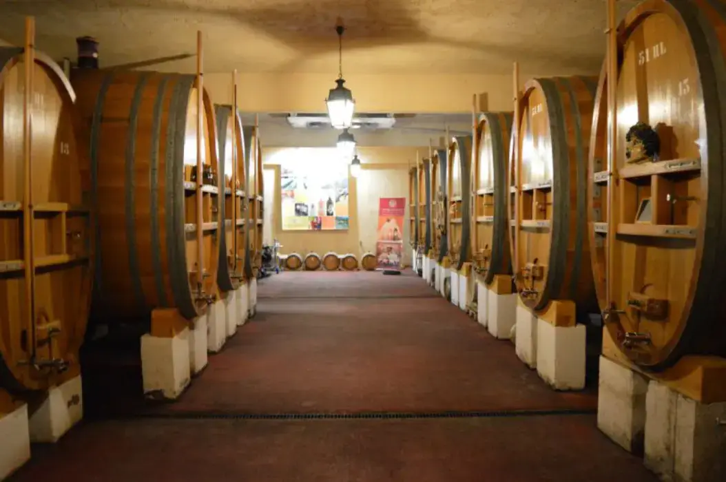 Domaine des Planes 2