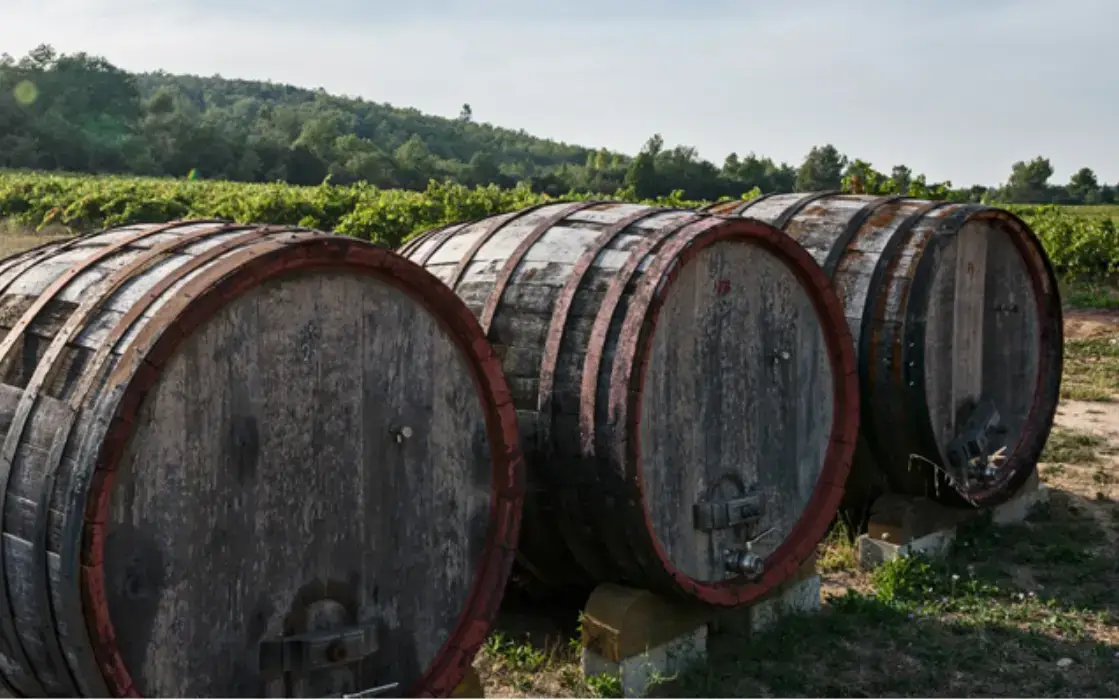 Les Terres de Saint Hilaire 6