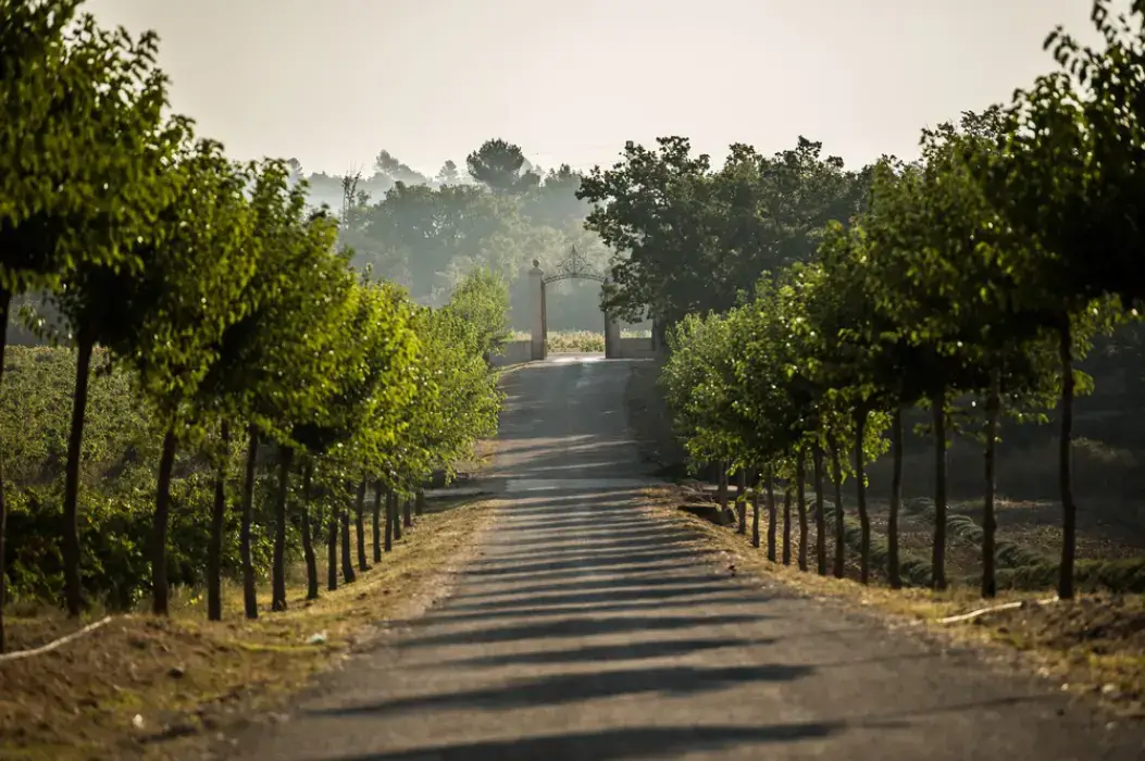 Les Terres de Saint Hilaire 20