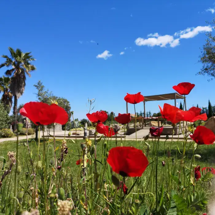 Parc Galéa 5