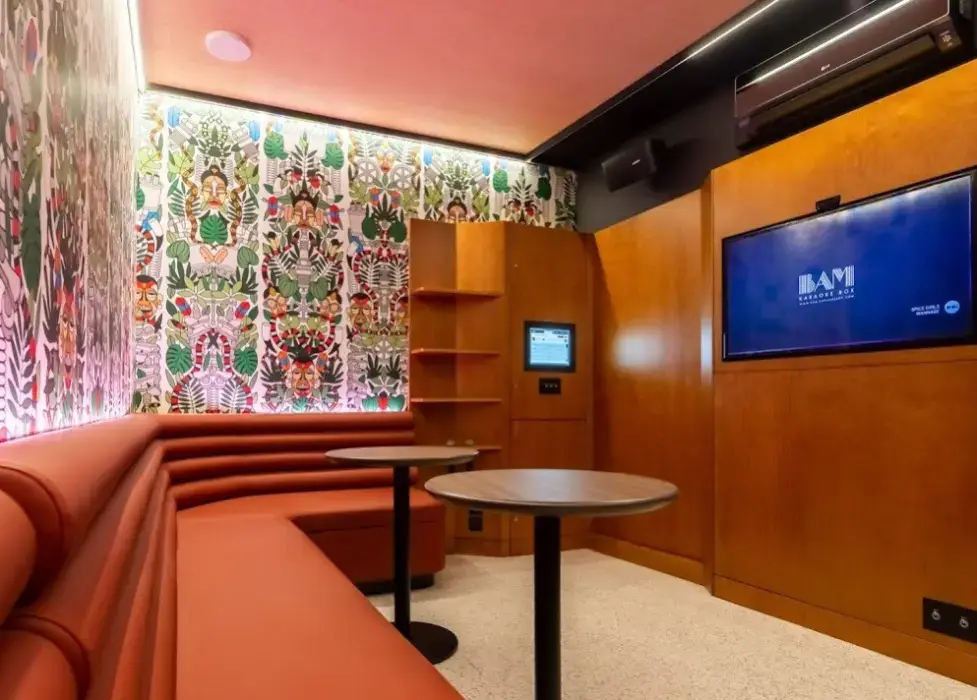 BAM Karaoke Box Bordeaux Chartrons