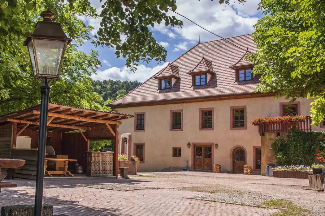 Les Violettes Hôtel Et Spa 17